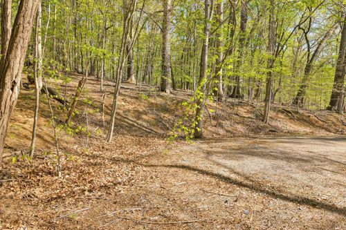 Lot 43 Old Barn Rd, Moneta, VA, 24121 | Card Image