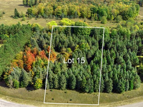 Lot 15 Lipp Farm Rd, Benzonia, MI, 49616 | Card Image