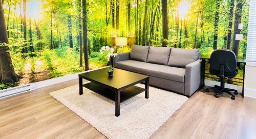 furnished-bsmt-2161 167 St, Surrey, BC, V3Z9X9 | Card Image