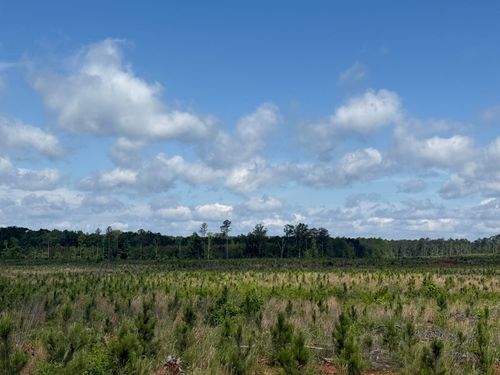 300 Us Highway 378 E, Edgefield, SC, 29824-3554 | Card Image