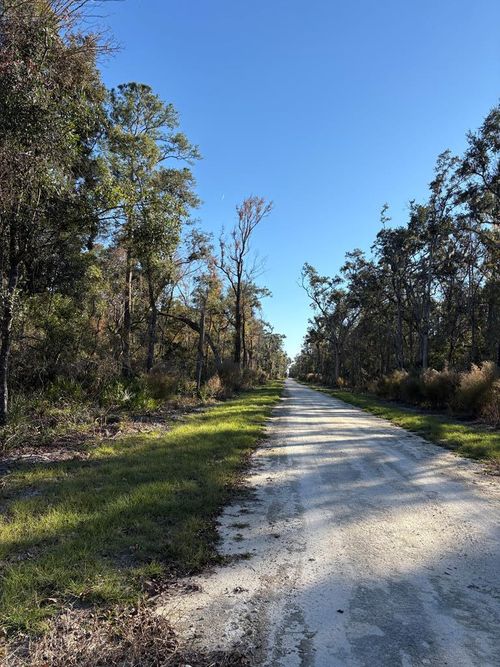 Lot #6 Se 203 Ave, Old Town, FL, 32680 | Card Image