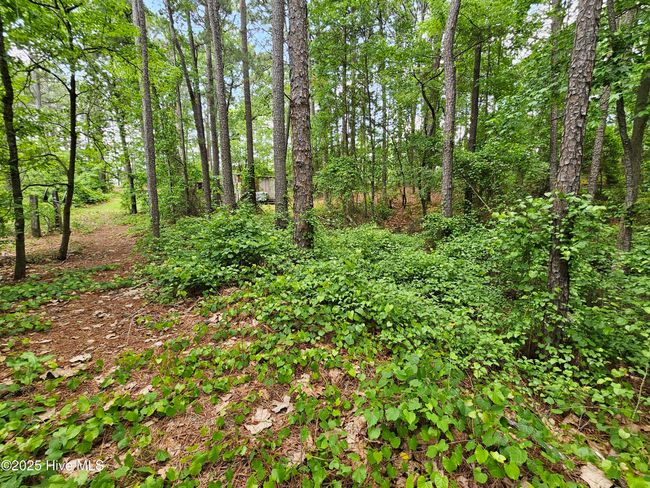 181 Joel Rd, Home with 0 bedrooms, 0 bathrooms and null parking in Carthage NC | Image 29