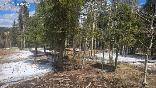 144 Little Bear Peak Road, Florissant, CO, 80816 | Card Image