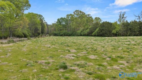 Lot A River Rd, Hollywood, AL, 35752 | Card Image
