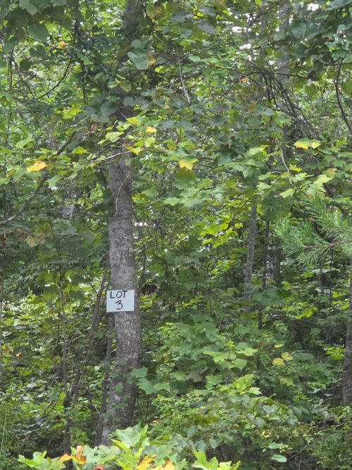 3 Buck Creek Cir, Somerset, KY, 42501-4007 | Card Image