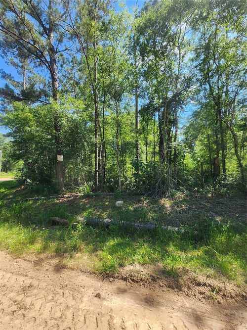 03 Cindy Ln, Shepherd, TX, 77371-2083 | Card Image