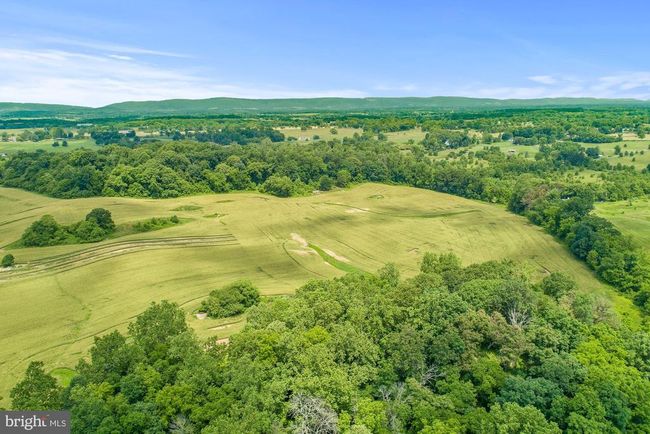8160 Frogtown Rd, Home with 0 bedrooms, 0 bathrooms and null parking in MARSHALL VA | Image 31