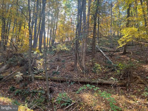 0 Pin Oak Street, BASYE, VA, 22810 | Card Image