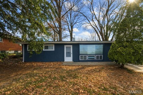 1132 Lakeview Ave, Saint Louis, MO, 63138-3030 | Card Image