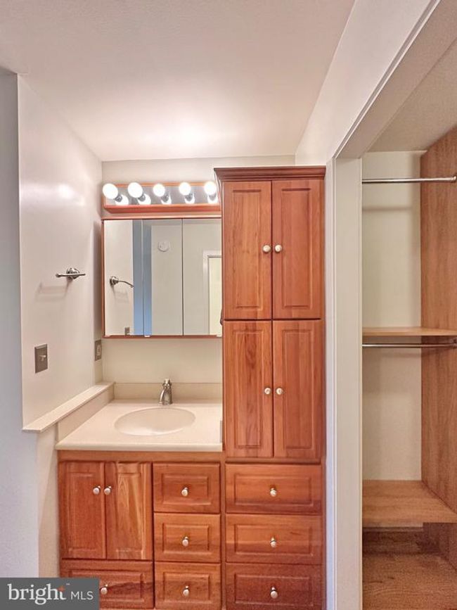 2021 Lakebreeze Way, Townhouse with 3 bedrooms, 4 bathrooms and null parking in RESTON VA | Image 29