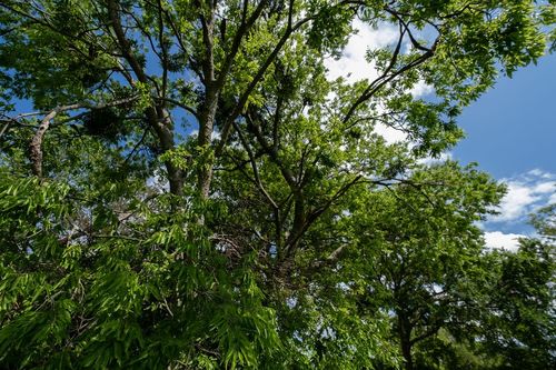 108 Williams St, Terrell, TX, 75160-3326 | Card Image