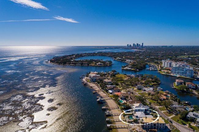 3319 Bayshore Blvd Ne, House other with 3 bedrooms, 3 bathrooms and null parking in SAINT PETERSBURG FL | Image 49