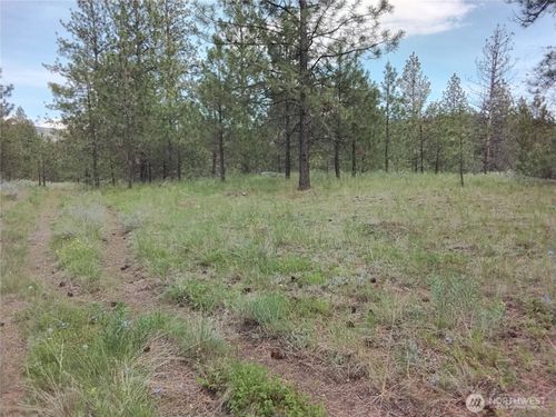 0 Cape Labelle Rd, Tonasket, WA, 98855 | Card Image