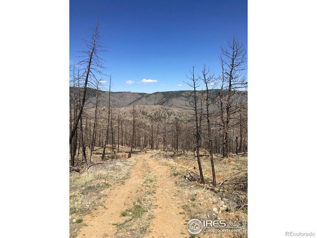 3600 Moondance Way, Home with 0 bedrooms, 0 bathrooms and null parking in Bellvue CO | Image 14