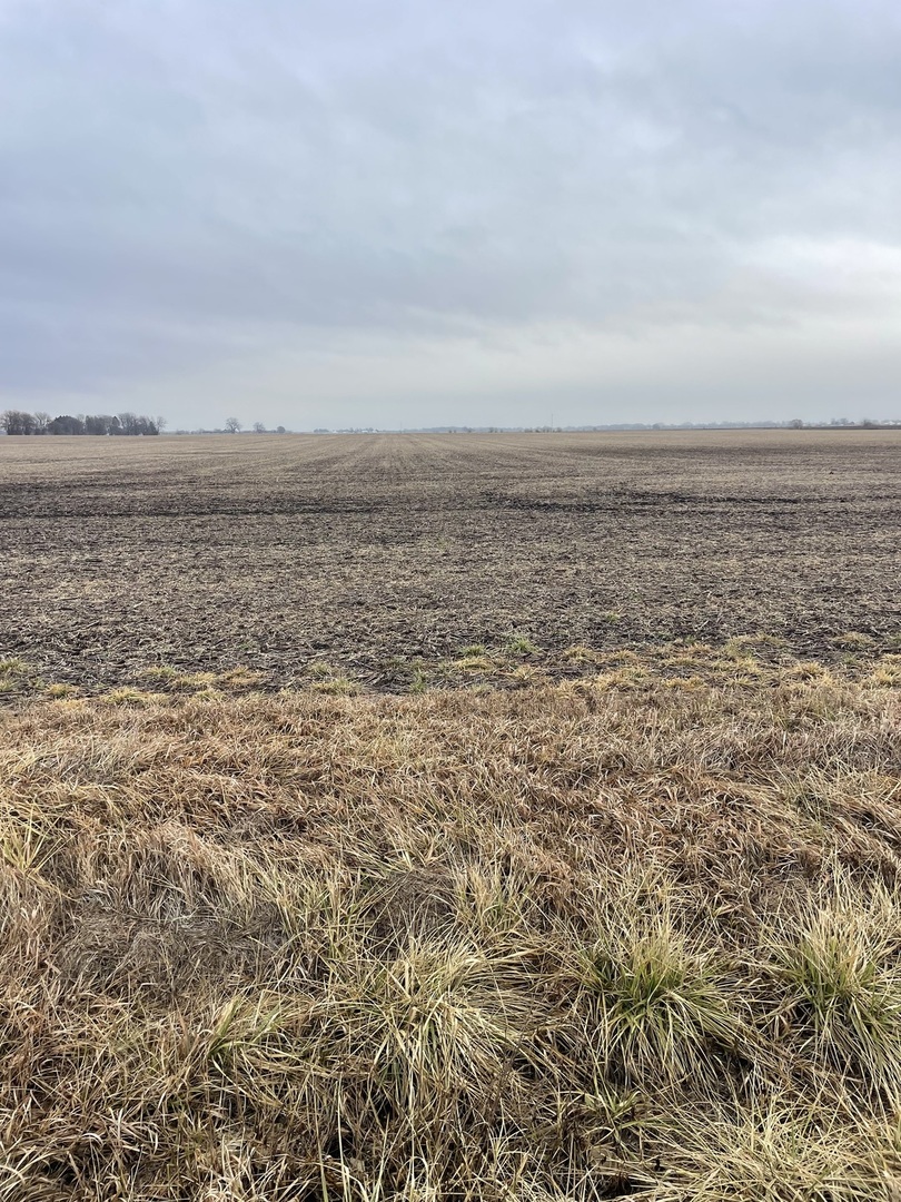 Farm in Wilmington 2