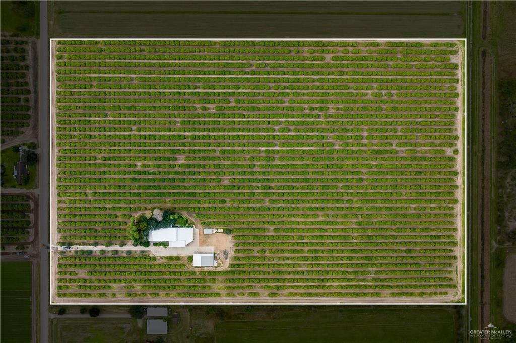 Land in Donna 2