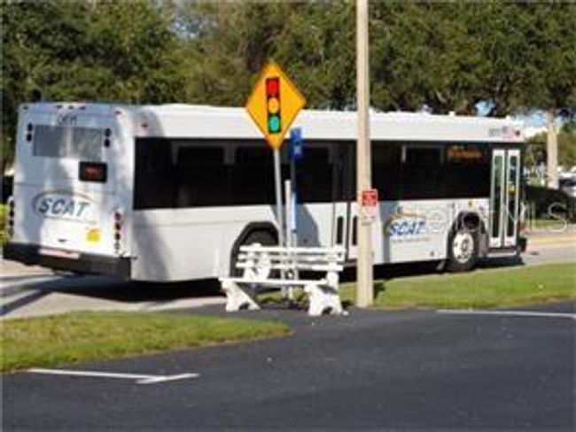 Bus route #99 stops close to the community. | Image 26