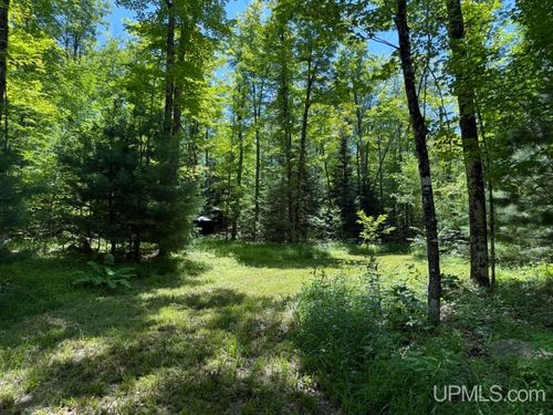 33.85 Acres Cable Lake Road, Crystal Falls, MI, 49920 | Card Image