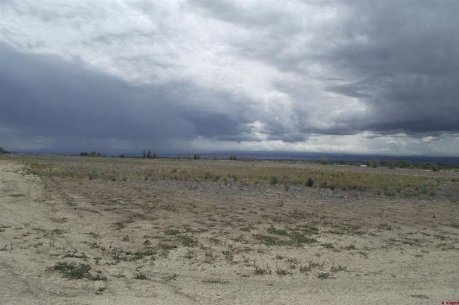 1 1900 Road, Home with 0 bedrooms, 0 bathrooms and null parking in Delta CO | Image 9