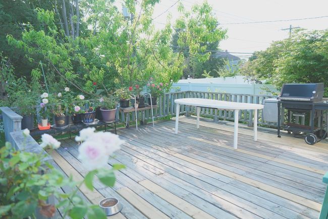 Deck featuring area for grilling | Image 21