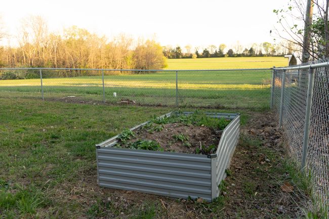 Backyard | Image 38