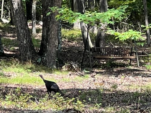 594 Lookout Crest Ln, Lookout Mountain, GA, 30750-2999 | Card Image