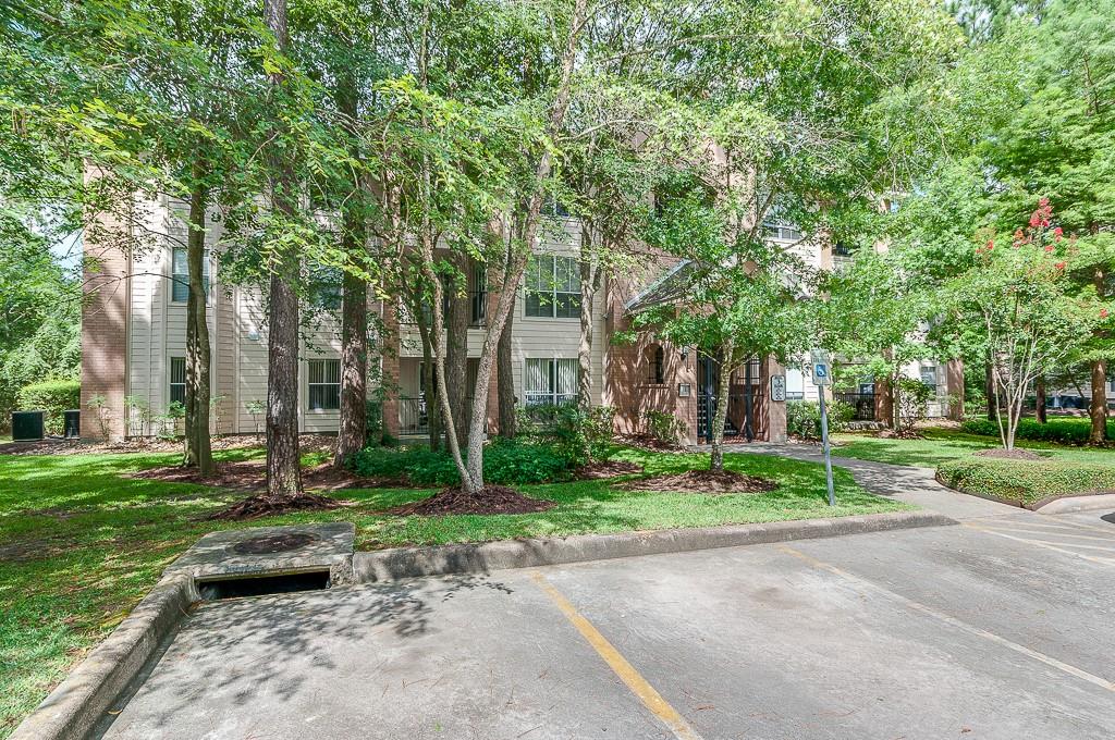 Residential in The Woodlands 3