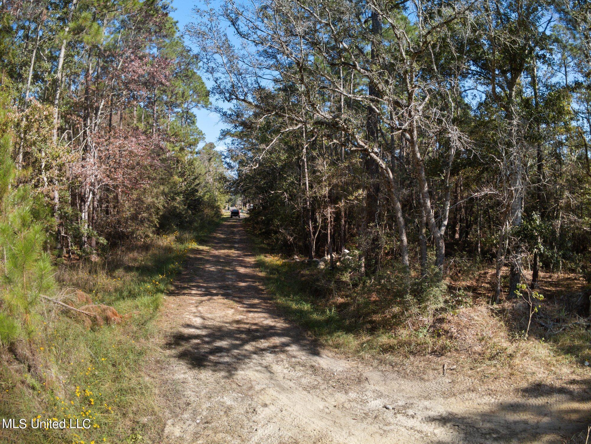 Land in Waveland 5