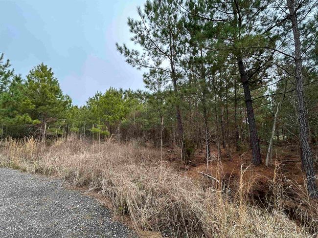 435 Gore Store Rd, Home with 0 bedrooms, 0 bathrooms and null parking in Warren TX | Image 5
