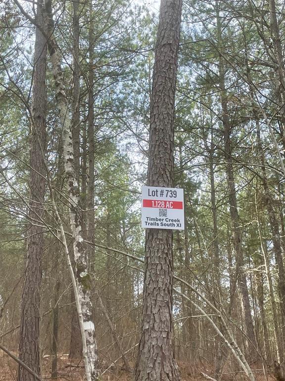 Land in Broken Bow 3