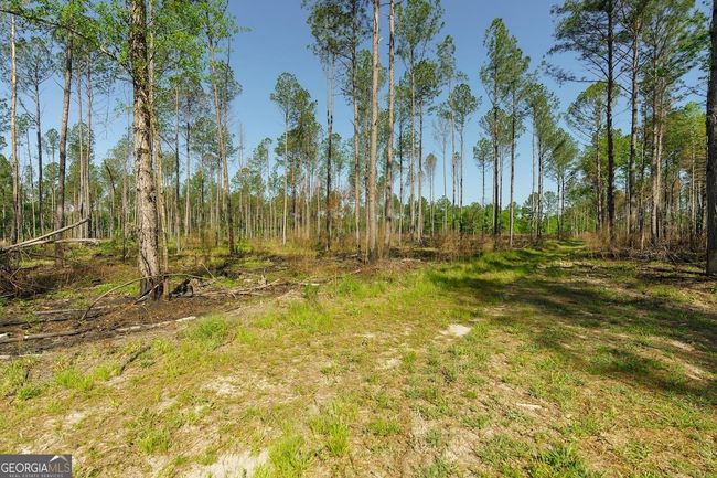 6053 Sun Hill Grange Rd, Home with 0 bedrooms, 0 bathrooms and null parking in Davisboro GA | Image 49