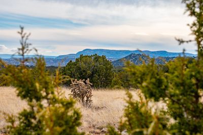 48 Three Sisters, Home with 0 bedrooms, 0 bathrooms and null parking in Cerrillos NM | Image 3