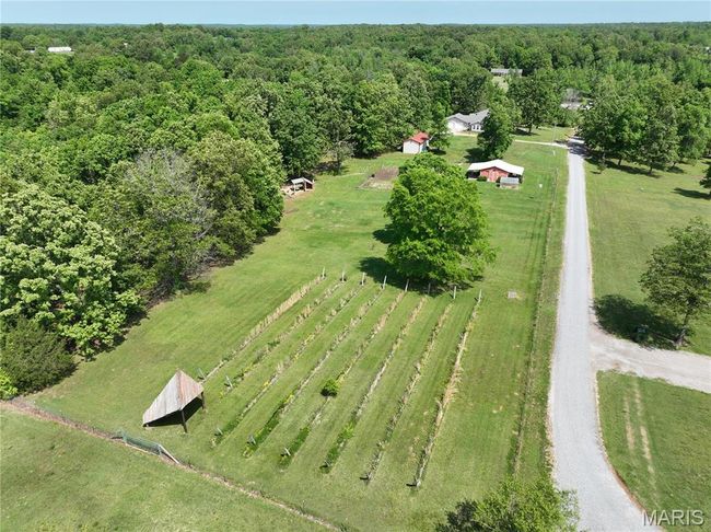 11800 Highway 160, House other with 5 bedrooms, 4 bathrooms and 3 parking in Harviell MO | Image 42