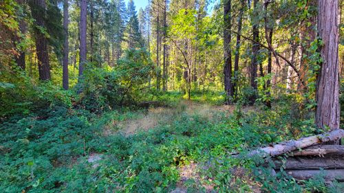 1011 Mill Creek Rd, Oak Run, CA, 96069 | Card Image