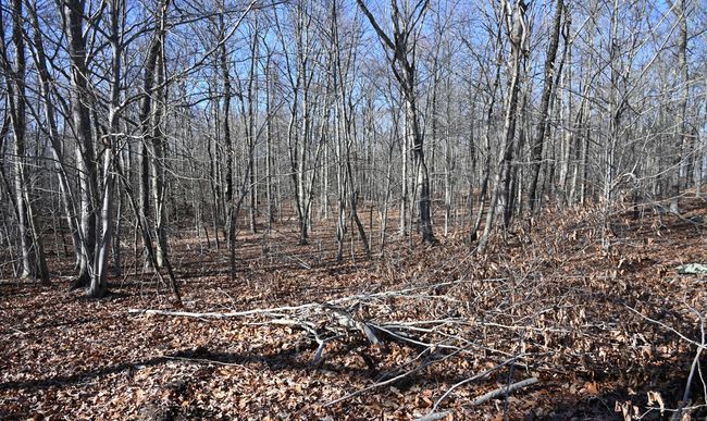 62-14, 15, 16 Middlesex Turnpike, Home with 0 bedrooms, 0 bathrooms and null parking in Old Saybrook CT | Image 12