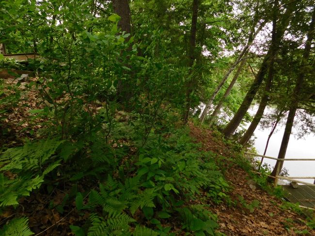 6832 S Forest Haven Rd, House other with 2 bedrooms, 1 bathrooms and null parking in Shawano WI | Image 40