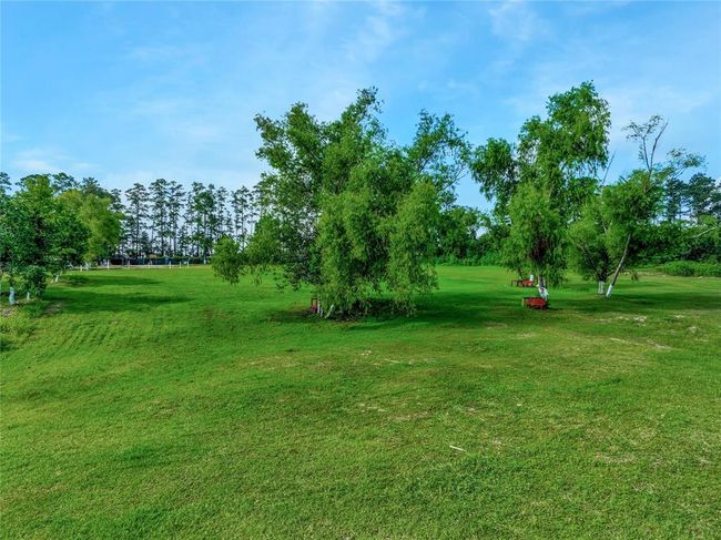 15859 Needham Rd, Home with 0 bedrooms, 0 bathrooms and null parking in Conroe TX | Image 10