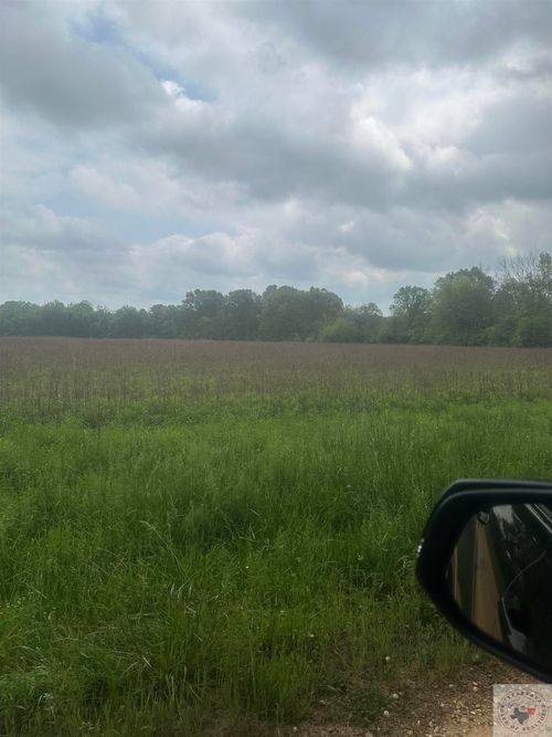 TBD Tj King Rd, Lockesburg, AR, 71846 | Card Image