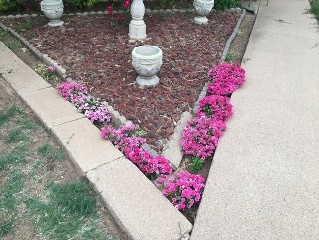 3702 Dalton Dr, House other with 3 bedrooms, 1 bathrooms and 2 parking in Snyder TX | Image 25
