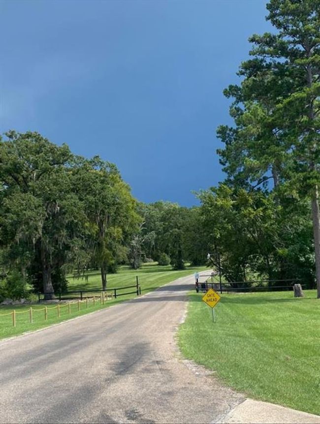5 Thornton 1 Rd, Home with 0 bedrooms, 0 bathrooms and null parking in Trinity TX | Image 5