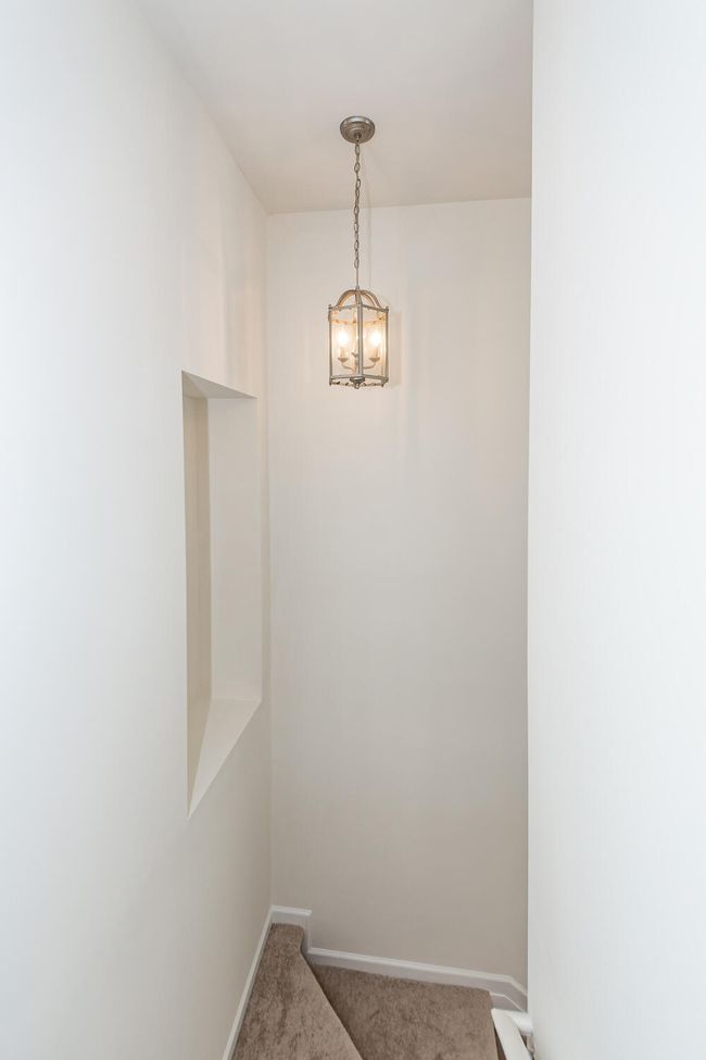 24 | Image 27