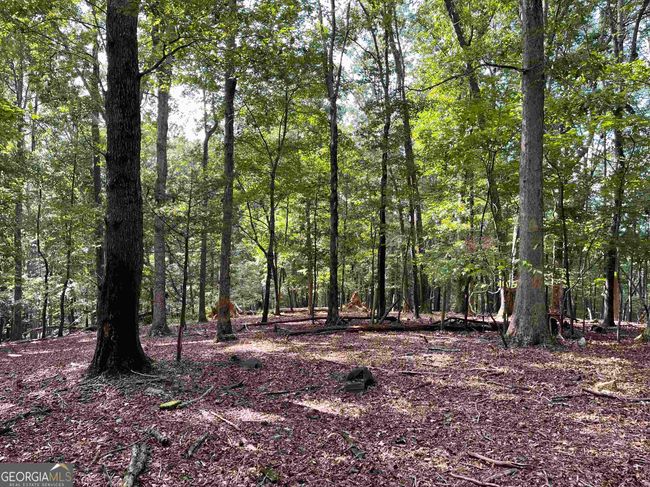0 Peach Orchard Dr, Home with 0 bedrooms, 0 bathrooms and null parking in Alto GA | Image 14