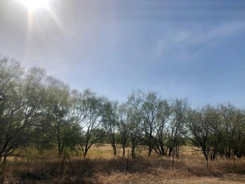 tbd Fm 266, Gustine, TX, 76455 | Card Image