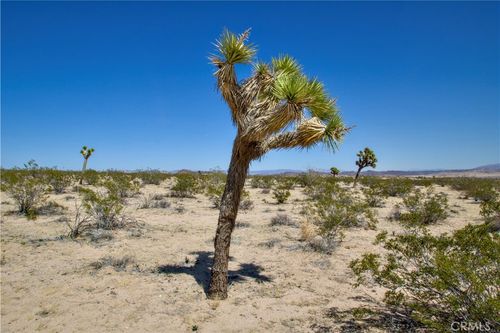2625 Sunset Rd, Joshua Tree, CA, 92252 | Card Image