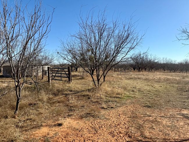 00 W Hwy 158, Home with 0 bedrooms, 0 bathrooms and null parking in Bronte TX | Image 7