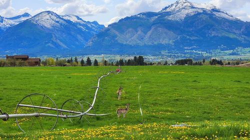 Lot D Prestige Way, Corvallis, MT, 59828 | Card Image