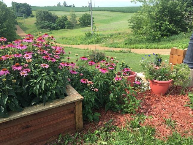 S6966 Johnson Ave, House other with 4 bedrooms, 2 bathrooms and null parking in VIROQUA WI | Image 30