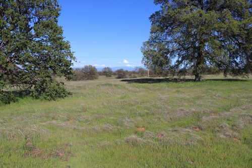 Lot 54 Arlington Park Pl, Cottonwood, CA, 96022 | Card Image