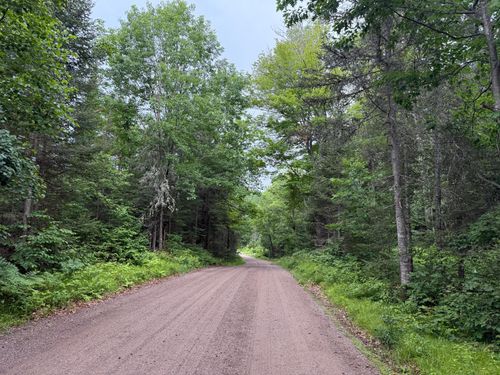 ON Steele Rd, Harshaw, WI, 54529 | Card Image