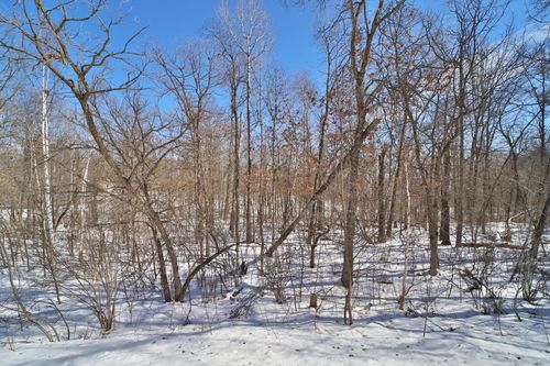 TBD Percheron Dr, Pequot Lakes, MN, 56472 | Card Image